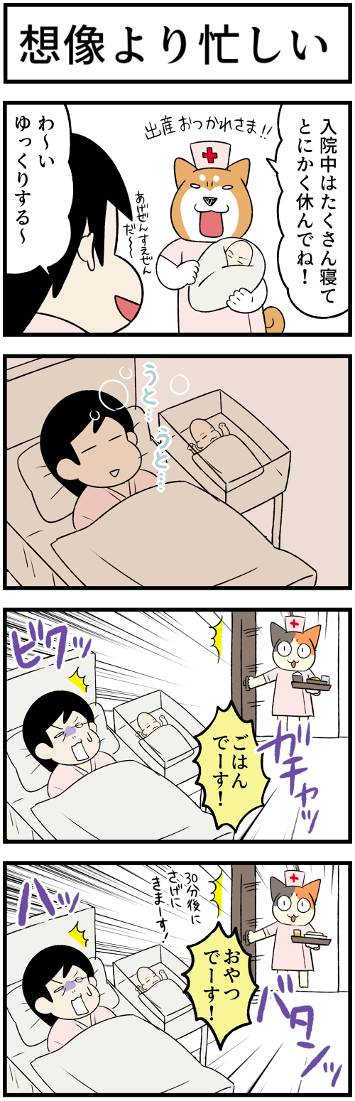 20221114想像より忙しい1