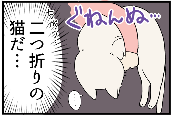20260929二つ折り猫2
