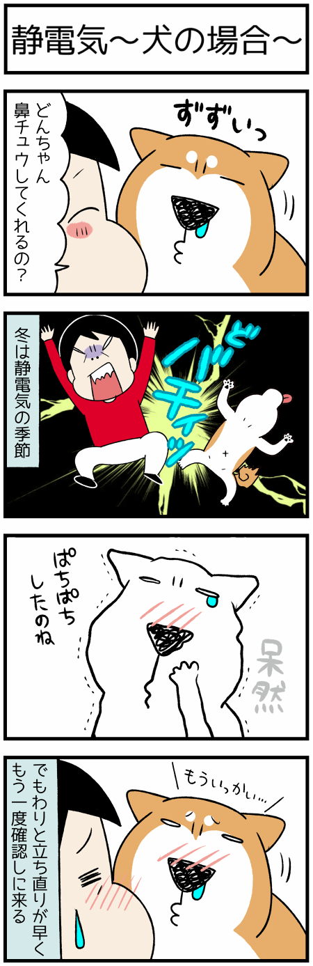 20210305静電気と犬猫1