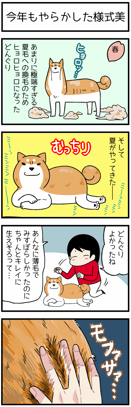 20170710持ちネタのように1