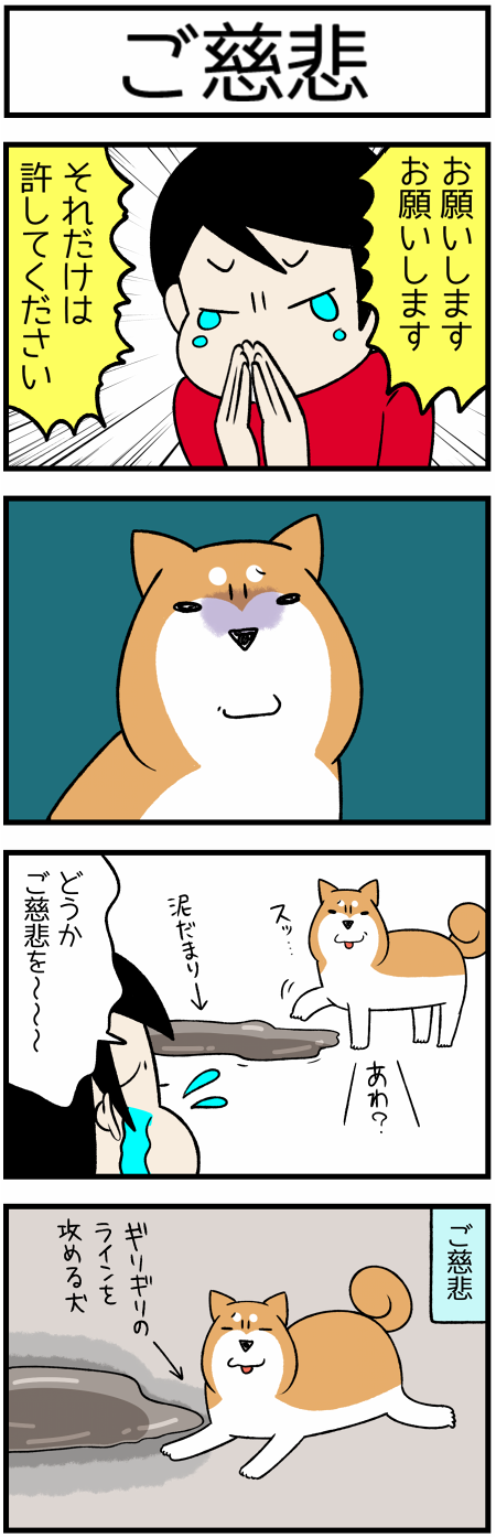 20180609ご慈悲1