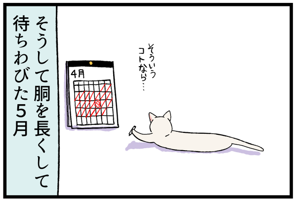 20260526一人っ子タイム2-3