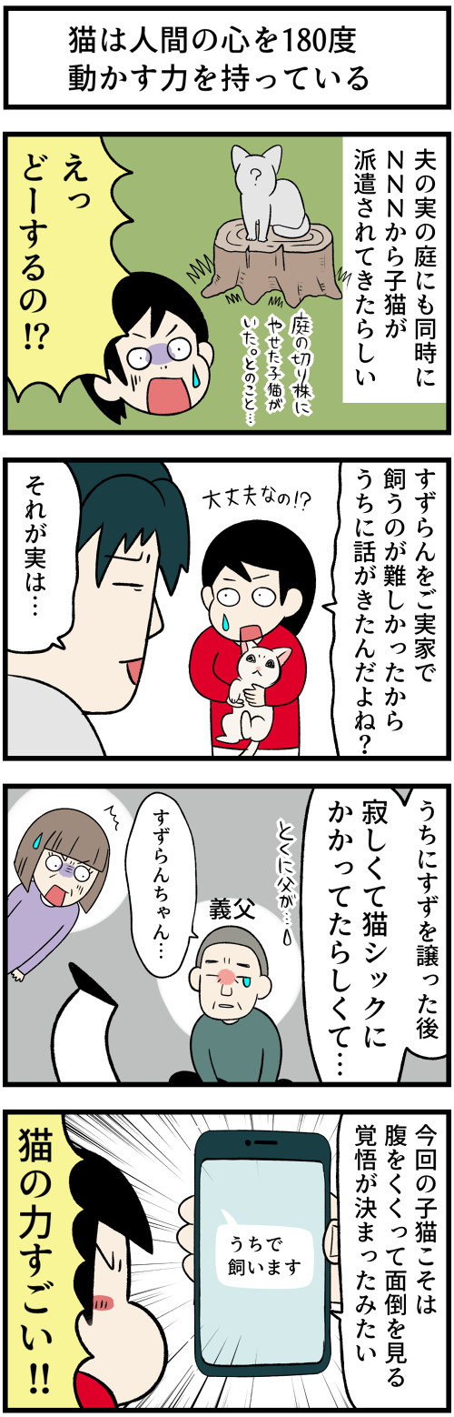 20220110義実家の子猫1