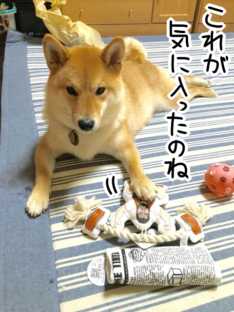 rbewzk63