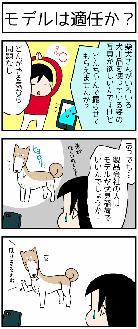 20171217モデルは適任か1