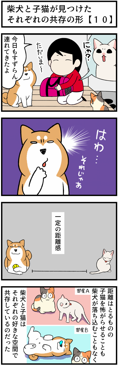 20210925犬猫の共存の仕方1