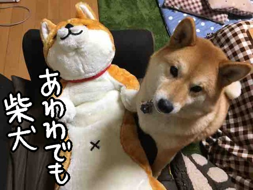 53xqqkl0