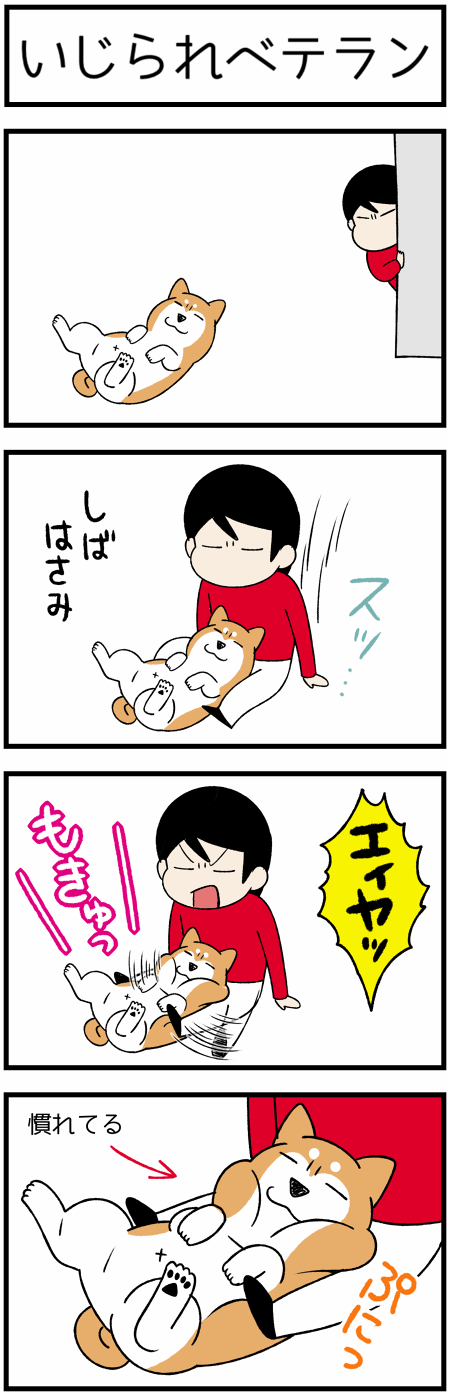 20201228ちょっかい1