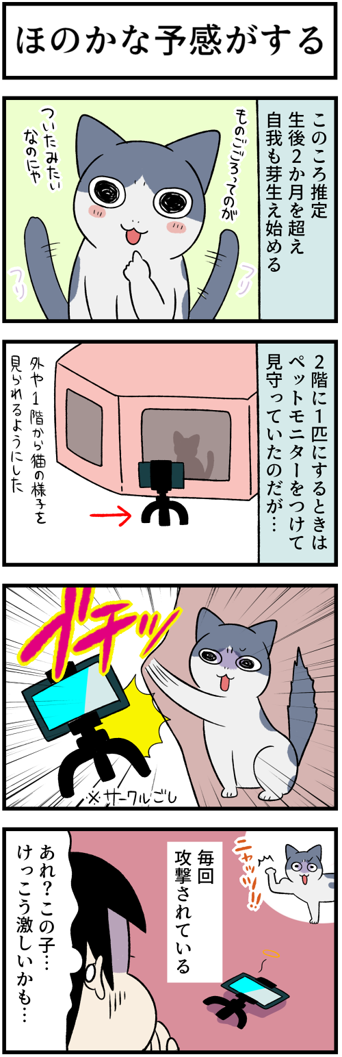 20220221自己主張はｊまる2