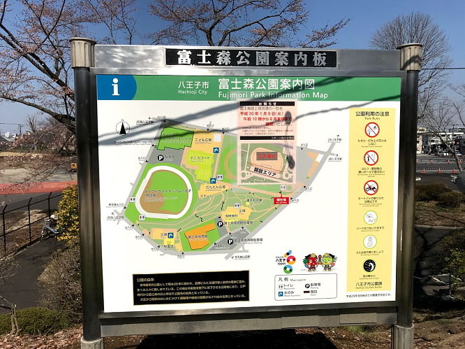 18お花見 富士森公園 柴犬翻弄記 18お花見 富士森公園 柴犬翻弄記