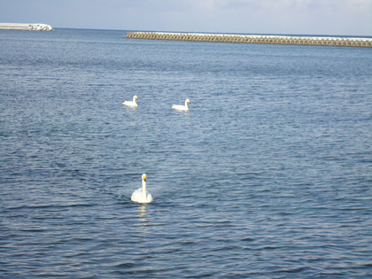 ÇòÄ»2013-4