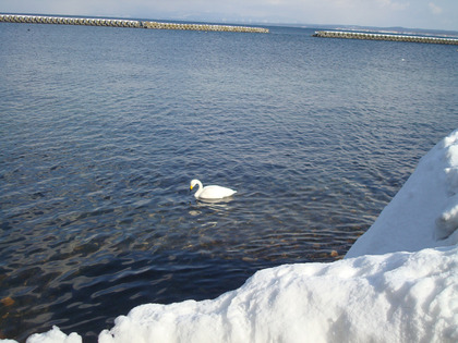 ÇòÄ»2013-1