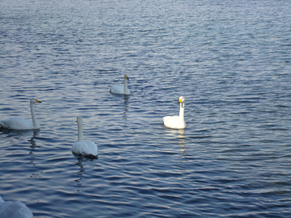 ÇòÄ»2013-6