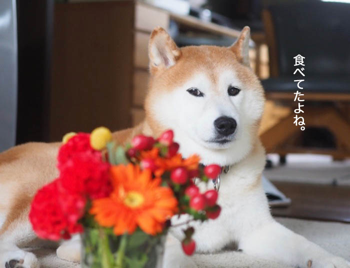 15日夜ブログ６
