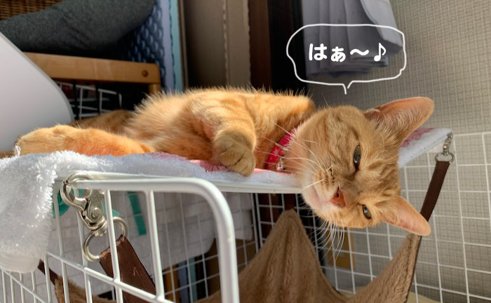 20日夕ブログ４