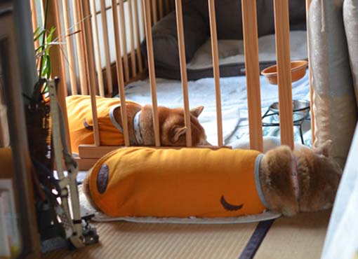 26日ブログ8.jpg