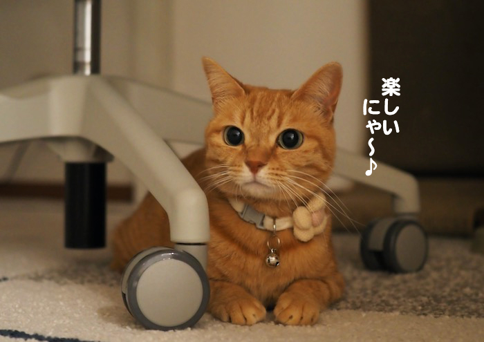 26日夕ブログ６