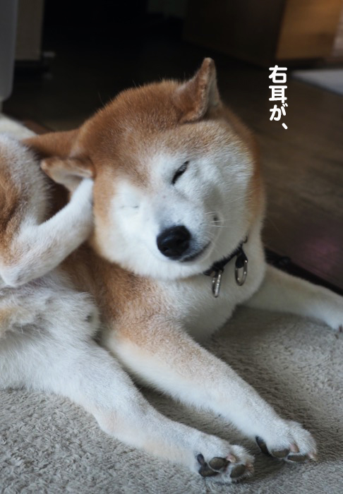 26日ブログ２