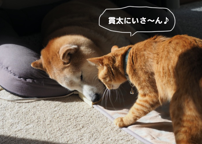 18日夕ブログ3