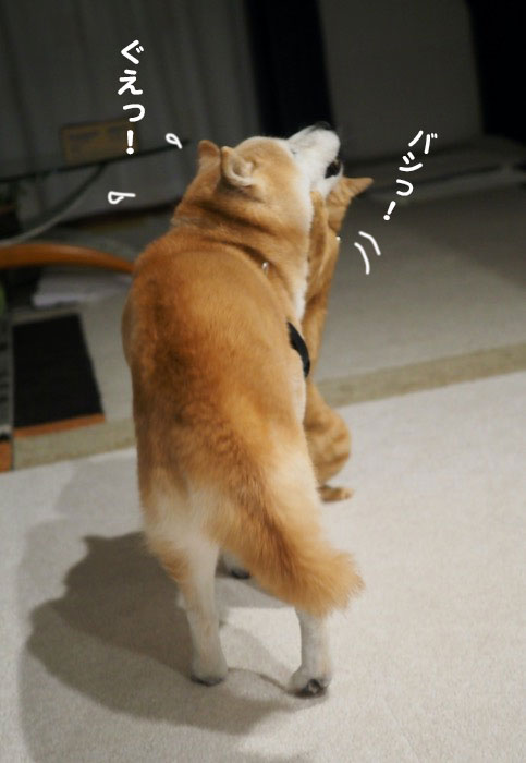 26日ブログ４