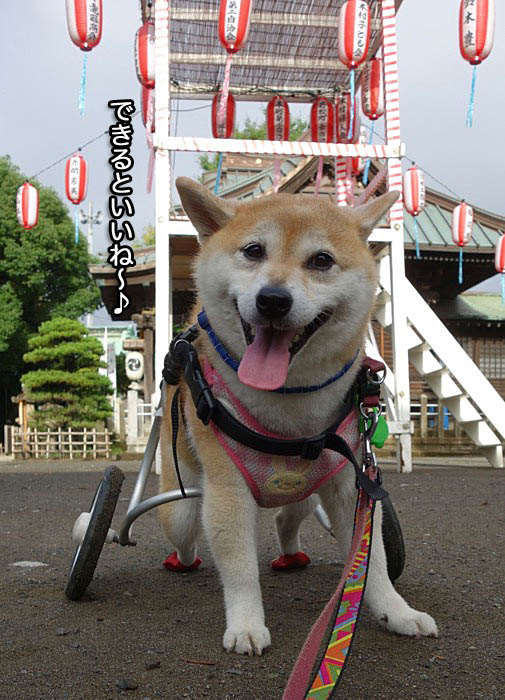 15日朝ブログ１