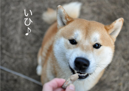 25日ブログ7.jpg