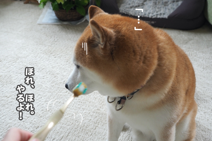 23日夕ブログ５