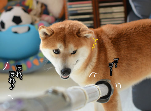30日ブログ6.jpg