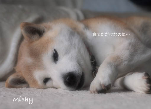 20日ブログ3.jpg
