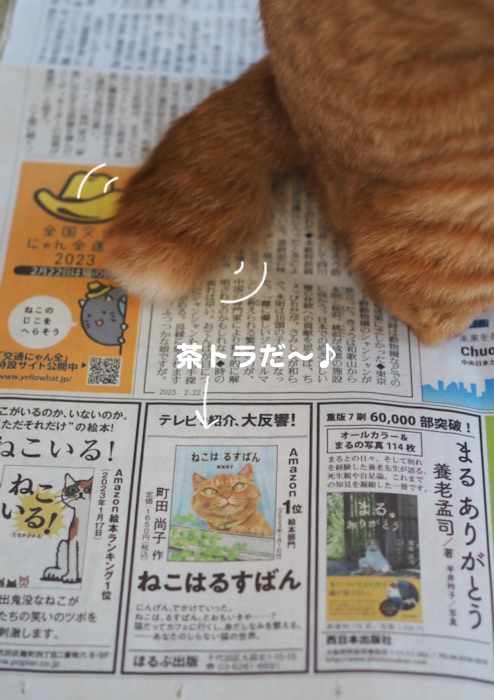 22日夕ブログ４