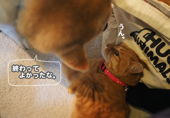 10日夕ブログ５