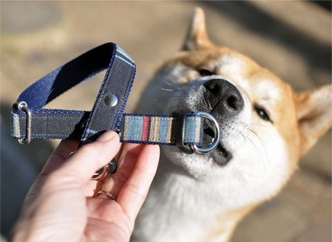 4日ブログ8.jpg