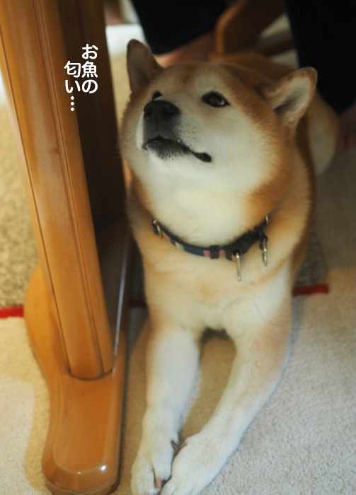 29日夜ブログ７