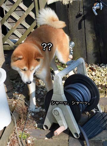 23日ブログ8.jpg