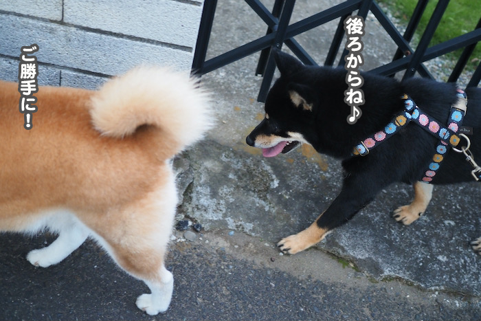 29日夕ブログ５