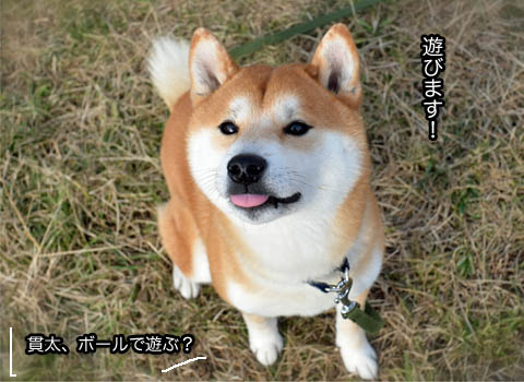 24日ブログ6.jpg