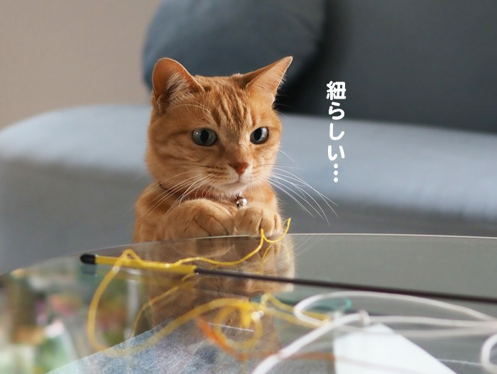 25日夕ブログ６