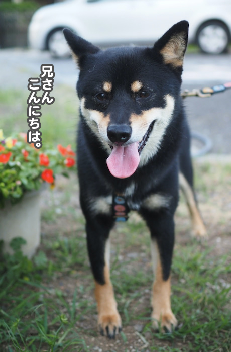 12日夜ブログ３