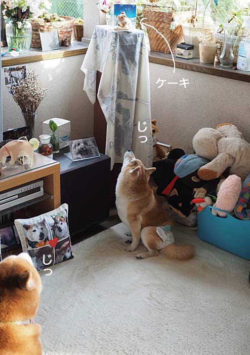 31日ブログ５