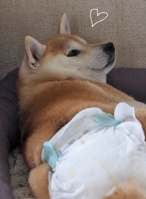 20日夜ブログ２