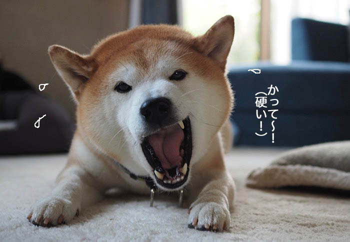 6日ブログ５