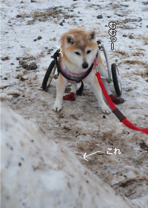 8日夜ブログ３