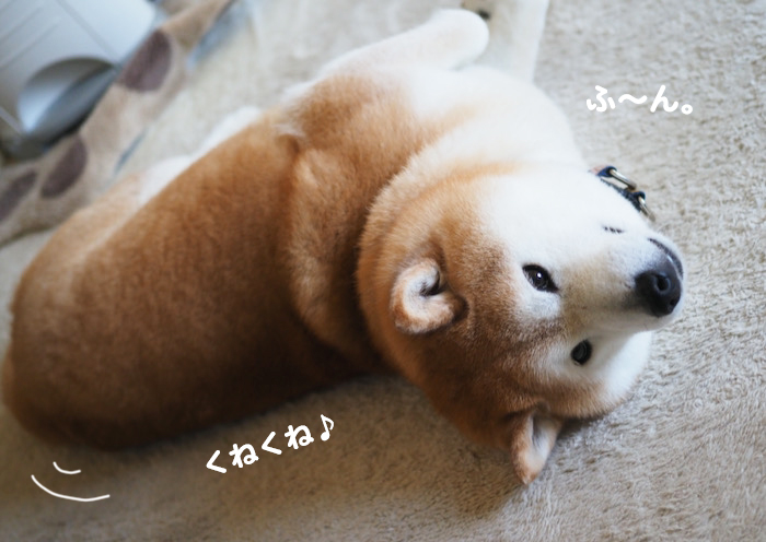 2日ブログ３