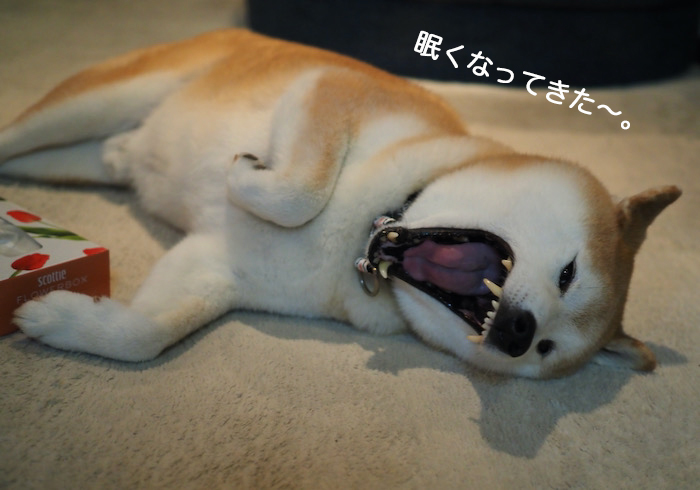 2日夜ブログ７