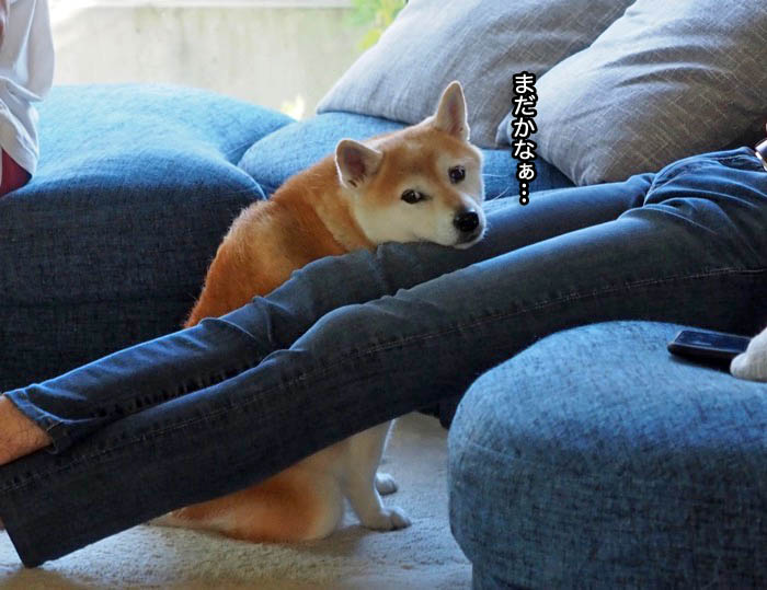 27日夕ブログ7