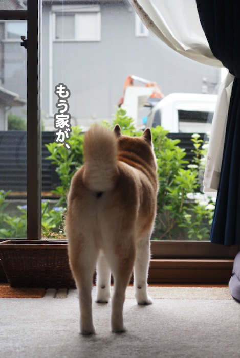 27日ブログ５