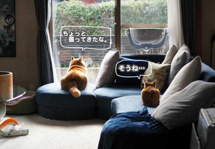 22日ブログ１
