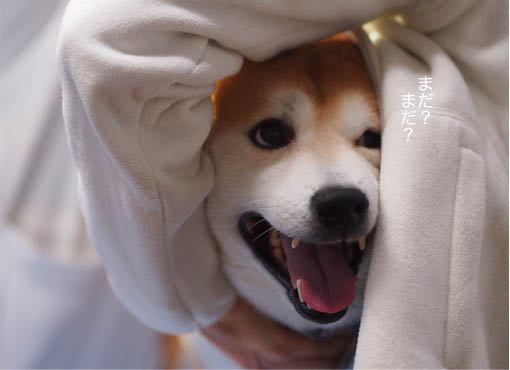 28日ブログ5.jpg