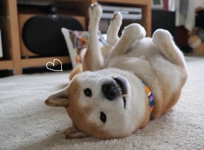 19日ブログ９