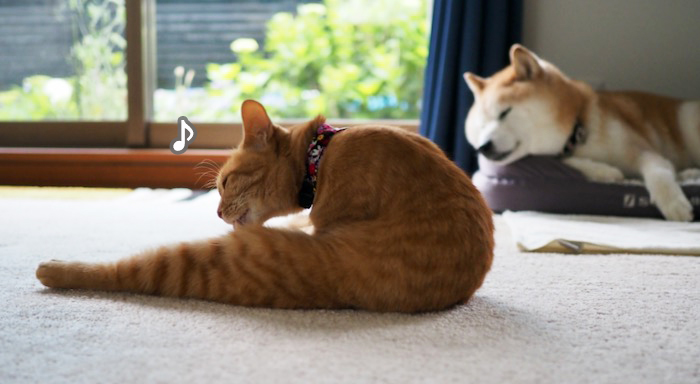 3日ブログ２